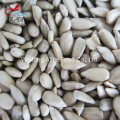 Raw Processing Type and Dried Style Chinese Dried Sunflower Seeds Kernels